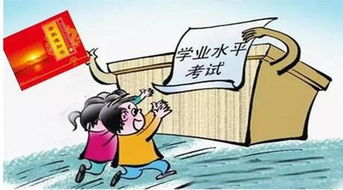 男大学生数量锐减，教育变革下的性别失衡与未来挑战