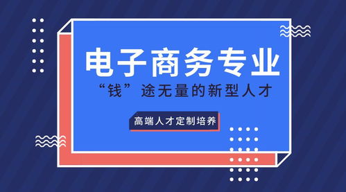 电子商务能选择的专业是