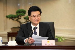 武汉市政府原副秘书长周大鸿被双开