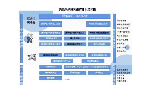 选了电子商务要转专业吗